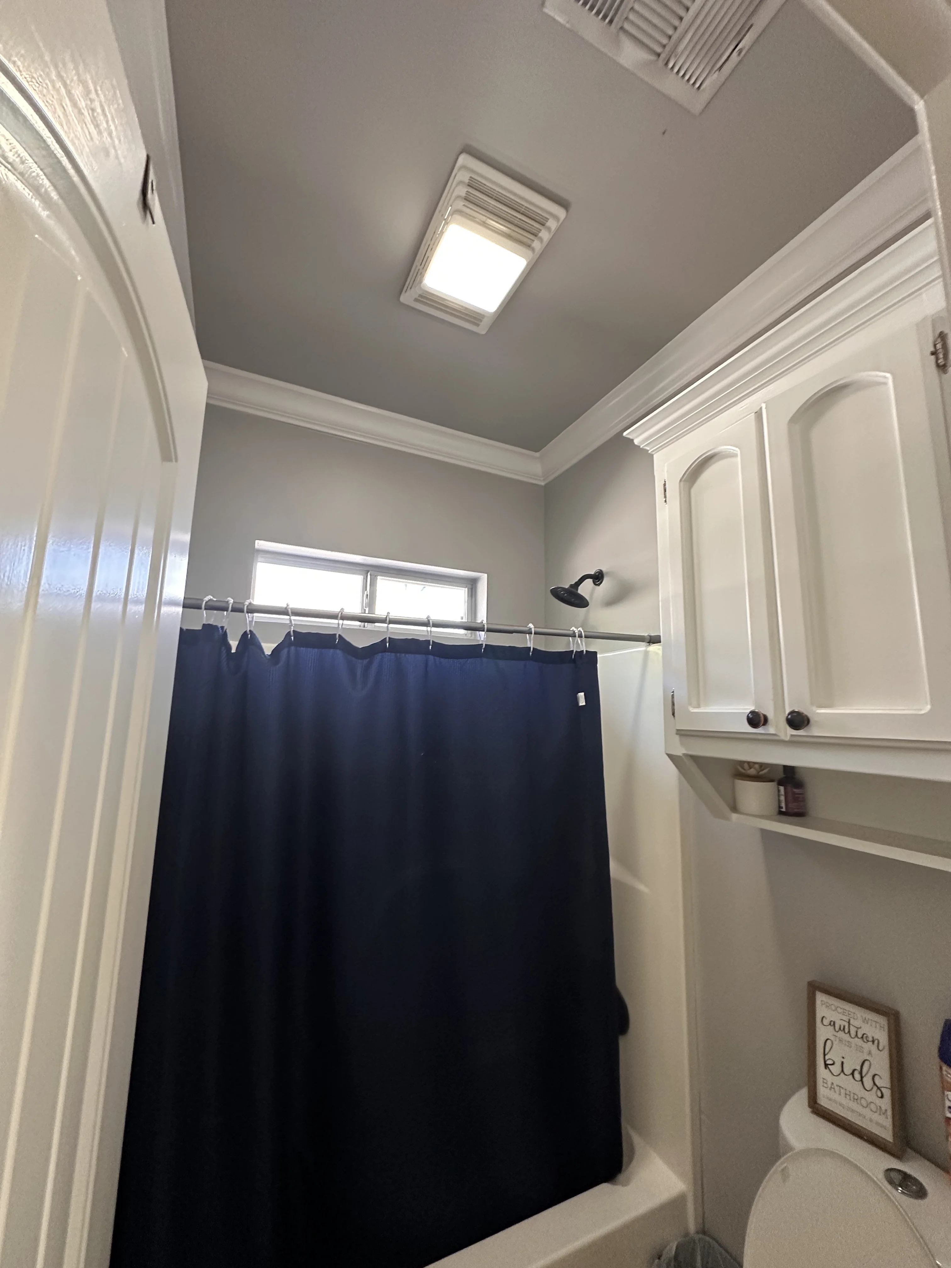 CABINET PAINTING Project