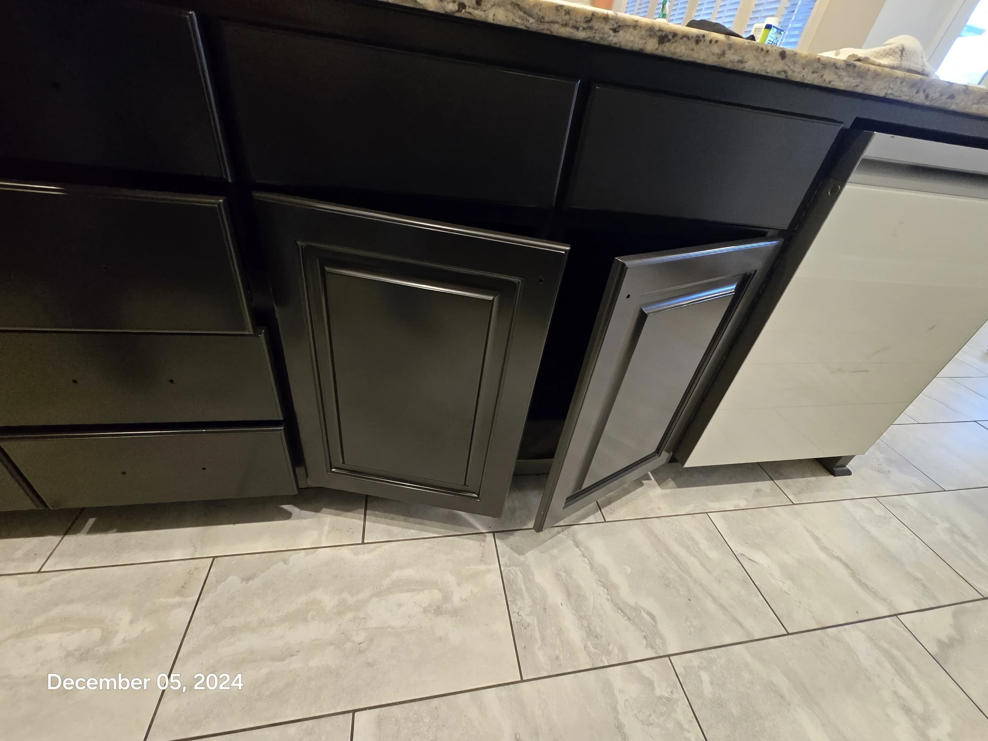 CABINET PAINTING Project