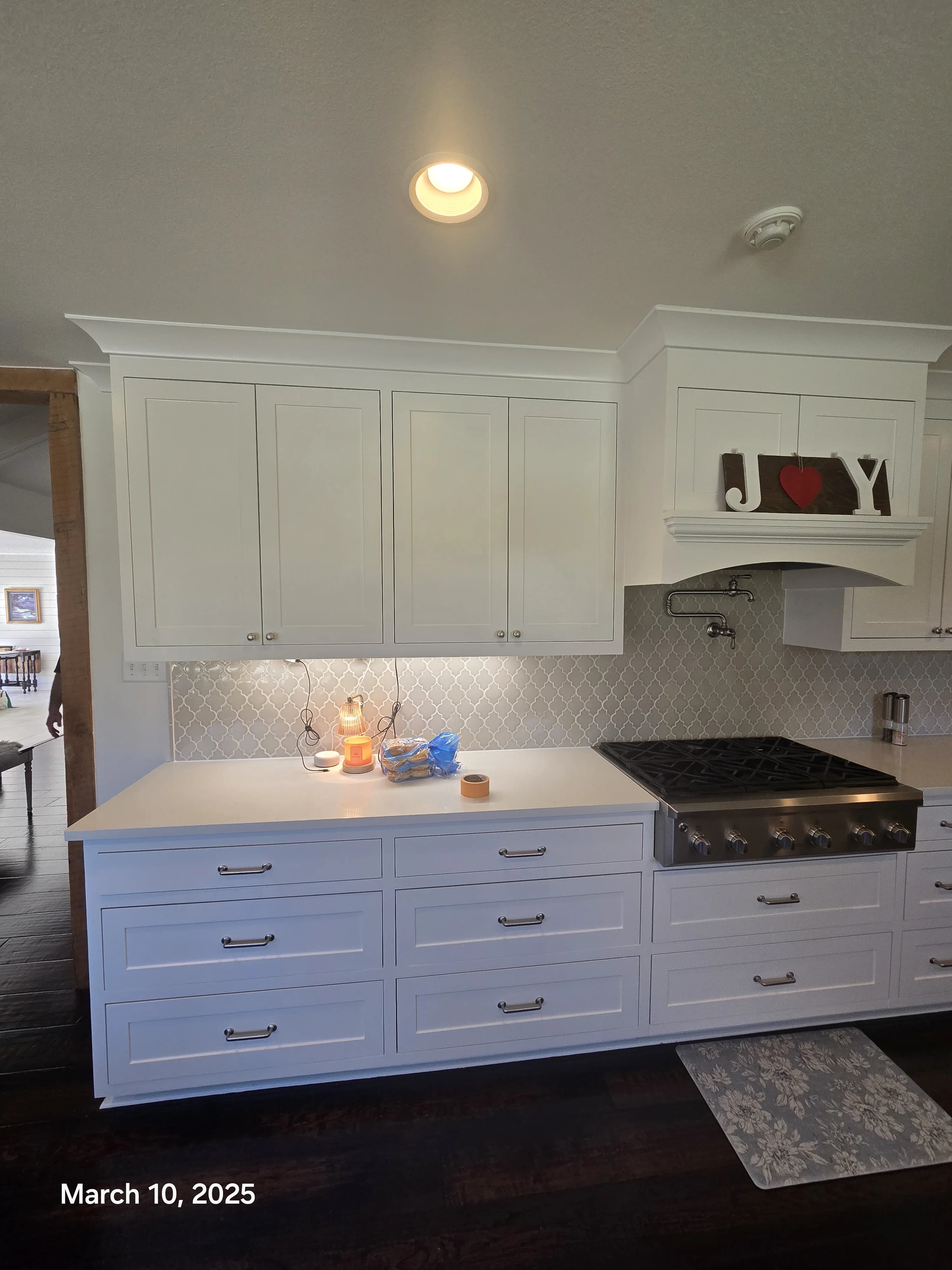CABINET PAINTING Project