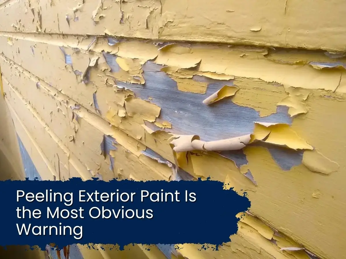 Close-up of white exterior wooden siding with severely peeling and cracking paint.
