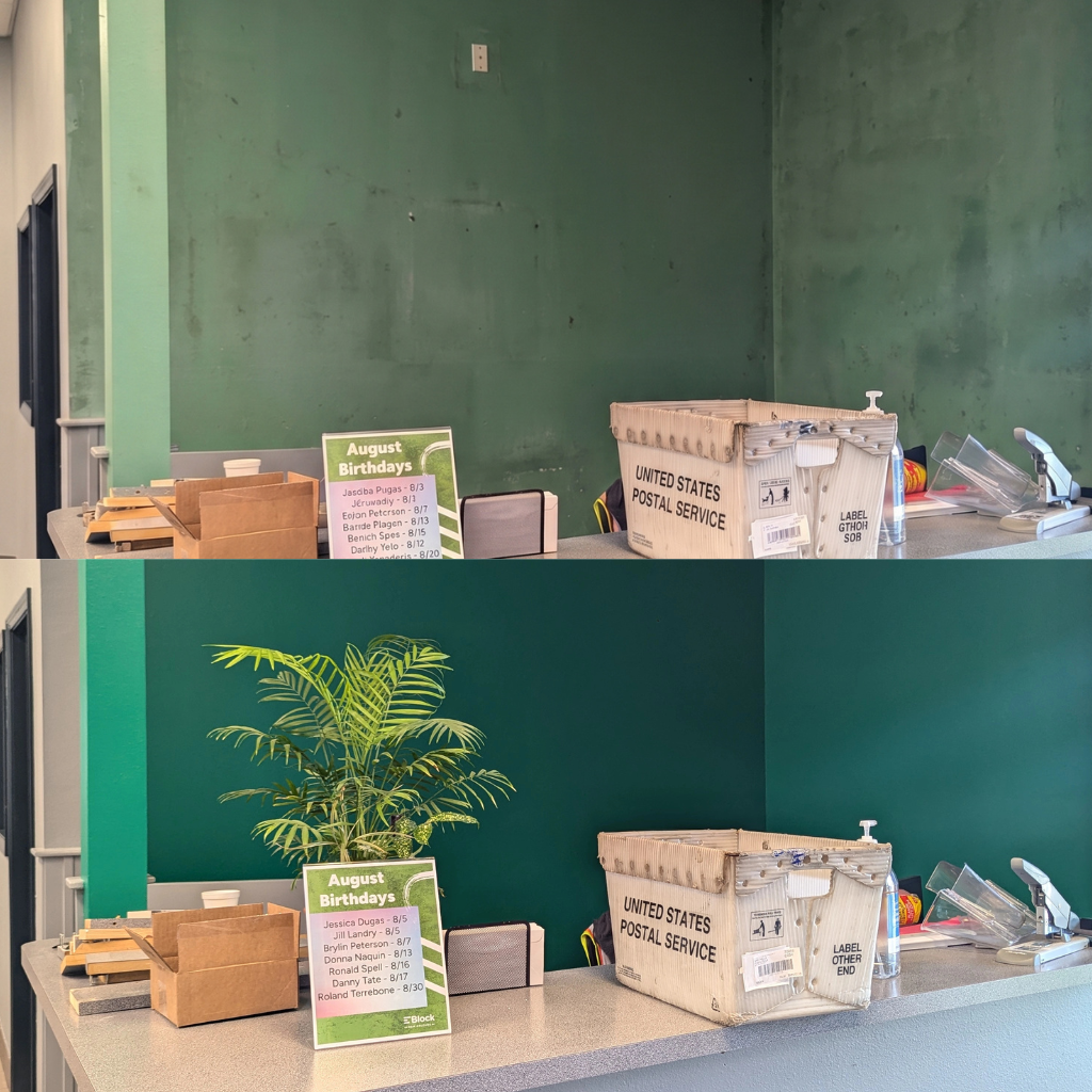 A grey office reception counter with a small potted palm plant, an August Birthdays sign, a cardboard box, and a USPS mail bin against a dark green wall.